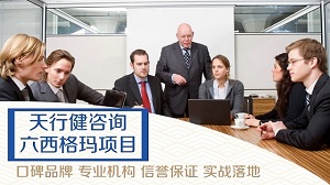 某汽車線束有限公司六西格瑪項目降低開線工序質量損失 某汽車線束有限公司六西格瑪項目降低開線工序質量損失